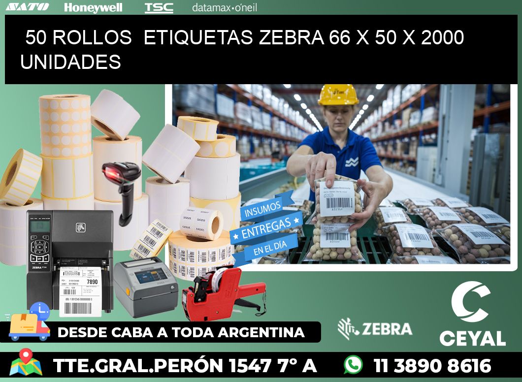 50 ROLLOS  ETIQUETAS ZEBRA 66 x 50 X 2000 UNIDADES