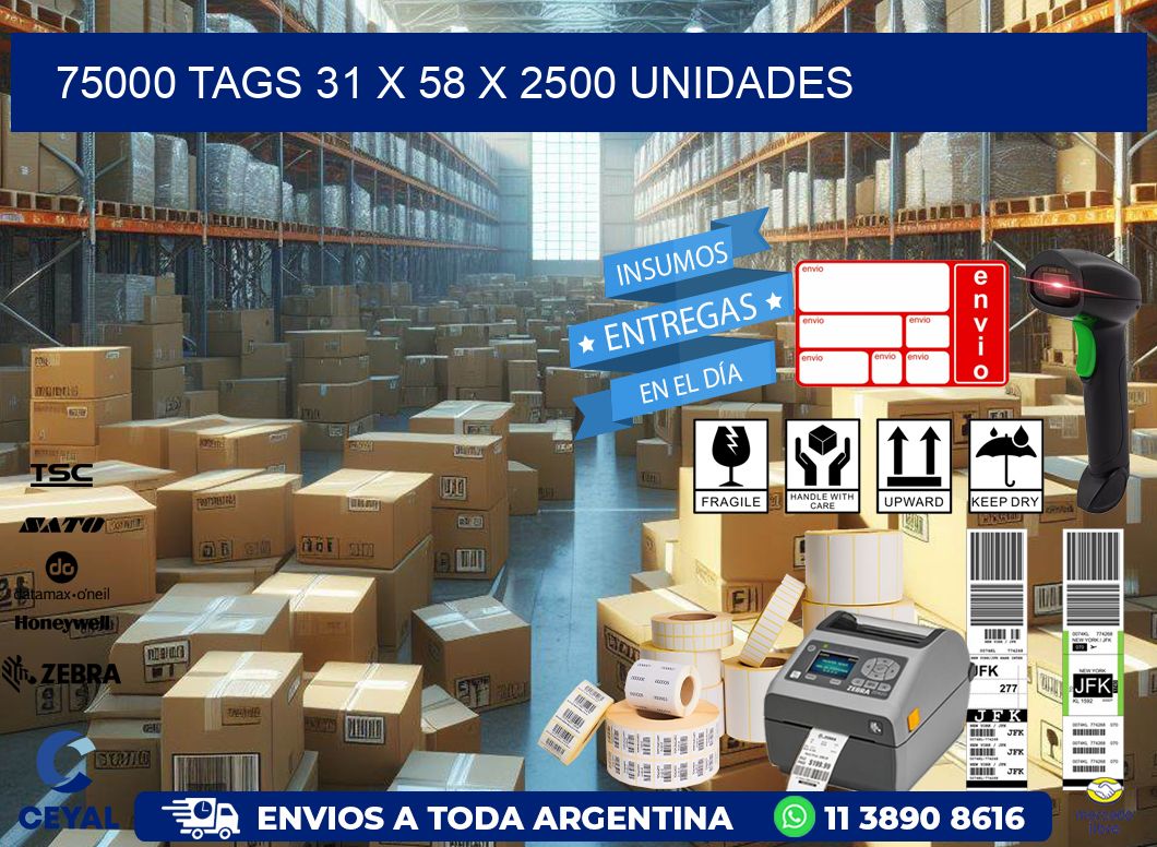 75000 TAGS 31 x 58 X 2500 UNIDADES